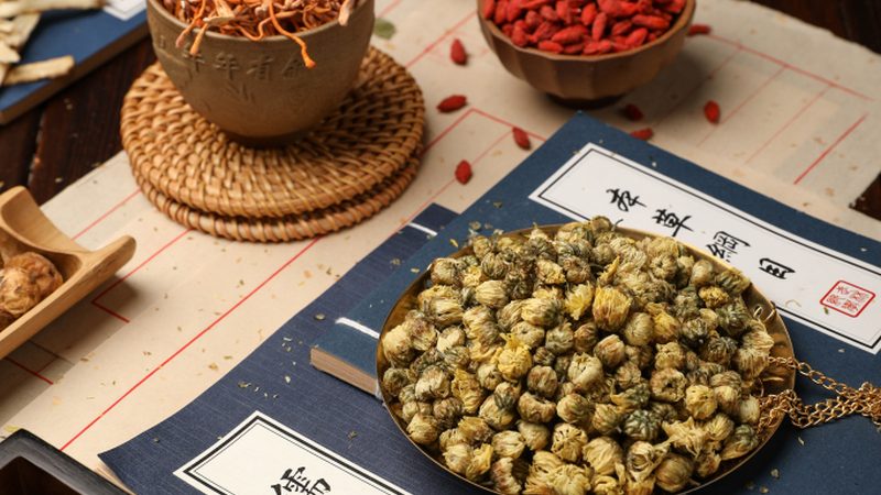 上海中医康复治疗：探寻优质医院的关键要素